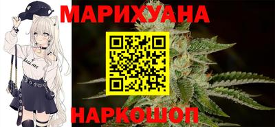 гидра Ставрополь